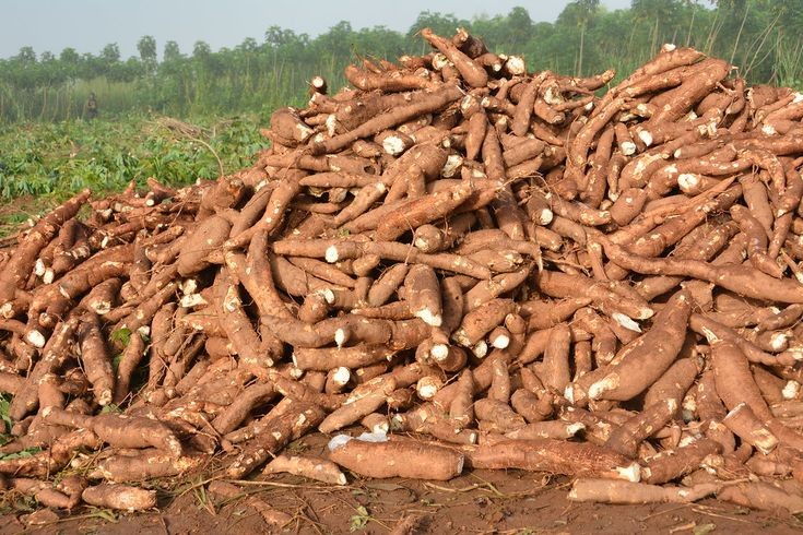 Farmers