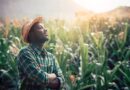 Farmers