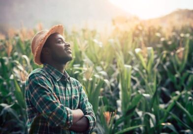 Farmers