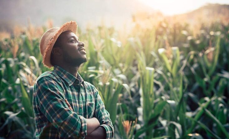 Farmers